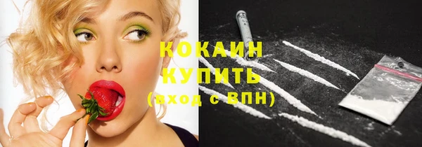 ПСИЛОЦИБИНОВЫЕ ГРИБЫ Абаза
