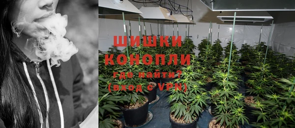 ПСИЛОЦИБИНОВЫЕ ГРИБЫ Абаза
