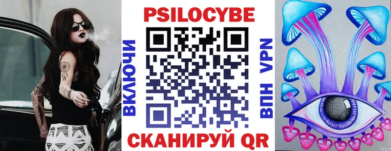 как найти закладки  Суздаль  Псилоцибиновые грибы мухоморы 